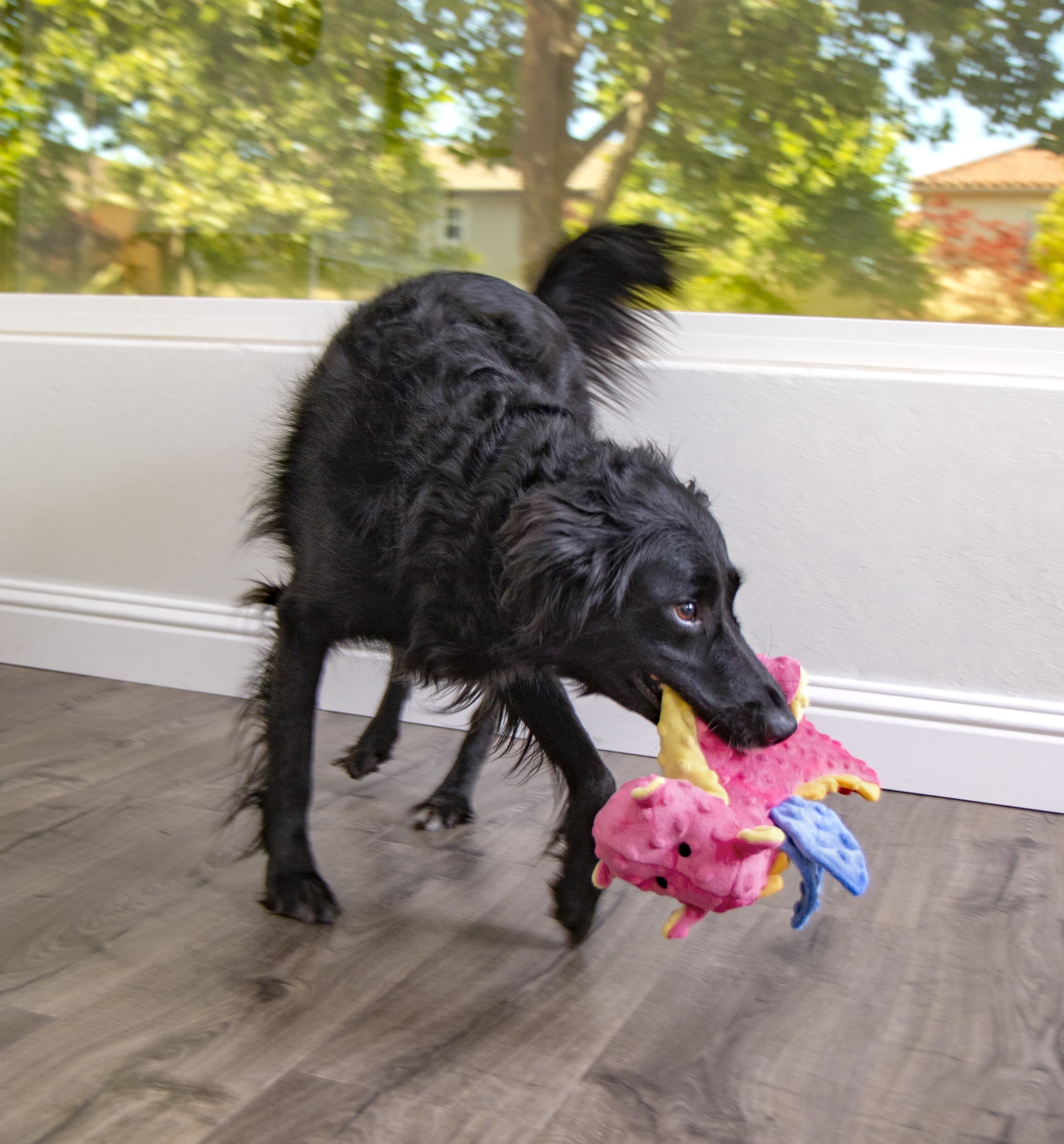 goDog Dragon Plush Toy Bundle for Dogs with Chew Guard Technology for Stronger & Longer Play, Tough & Durable, Built-In Squeaker, Variety Pack, 2-Pieces