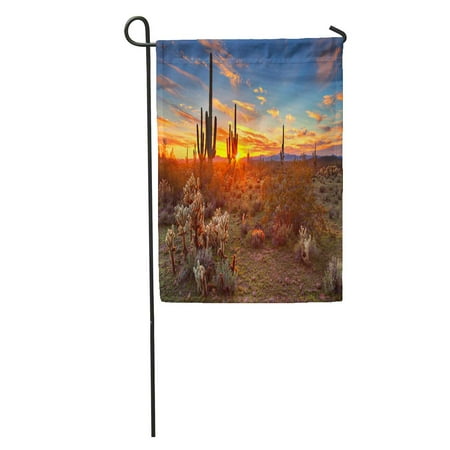 SIDONKU Cactus Saguaros at Sunset in Sonoran Desert Near Phoenix Arizona Flower Garden Flag Decorative Flag House Banner 28x40