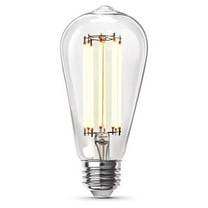 Feit Electric 3019244 100W ST19 E26 Medium Filament LED Bulb - Equivalence, Soft White - Pack of 2