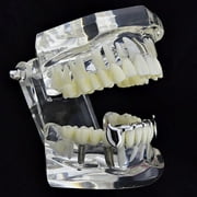 Vampire Fangs Half Grillz Silver Tone Slim Bottom Lower Fang Canine Teeth Grills