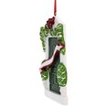 thumbnail image 5 of Green Door New Home Apartment Personalized Christmas Ornament DO-IT-YOURSELF, 5 of 5