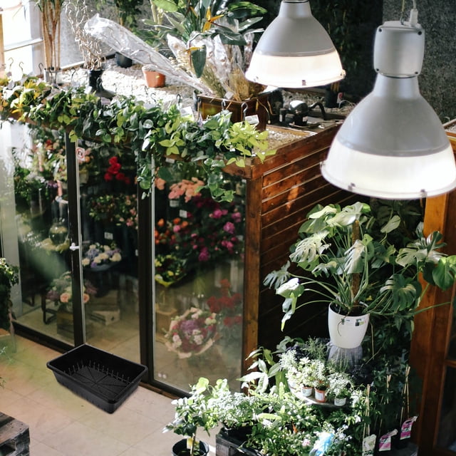 FOMIYES 2Ud Bandejas De Iniciación Para Plantas Negras Con Ventilación Adecuada Y Material