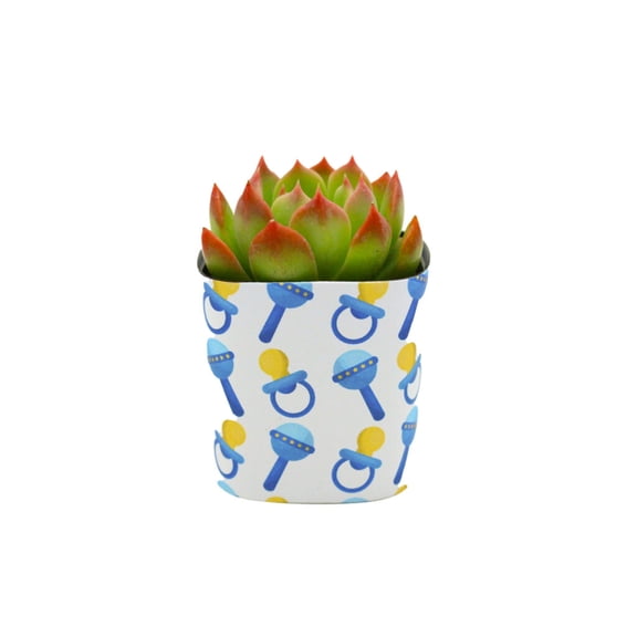 Plants Of Joy Binky Print Succulent Wraps for Weddings, Baby Shower, and Party Favors. 25 Count Pack.