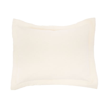 20" x 26" Delfina Ivory Cotton Standard Sham - Machine Washable