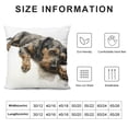 thumbnail image 5 of MDO Redland Art Cute Pet Boston Terrier Dog Throw Pillow Covers Linen Sofa Decorative Cushion Cases for Home Decor 18×18 Inch, 5 of 5