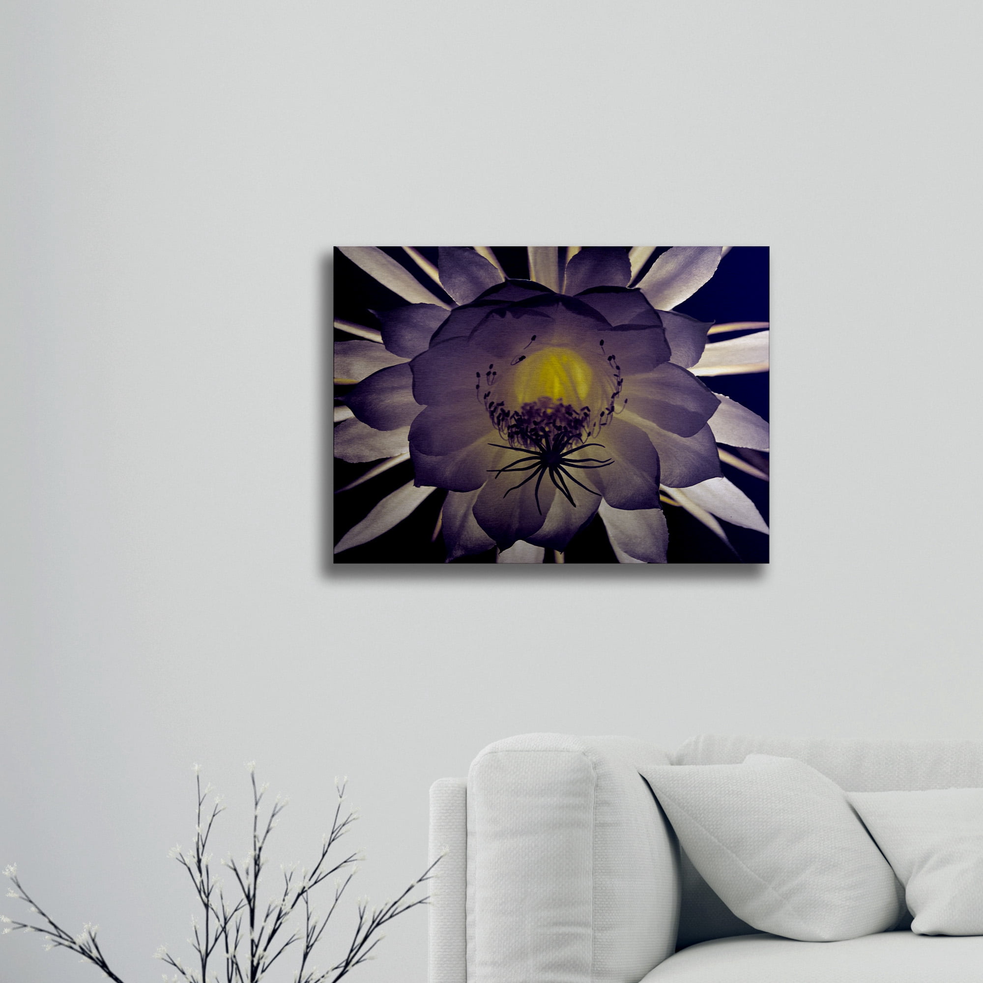Trademark Fine Art 'Night Angel' Brushed Aluminum Wall Art Art by Kurt Shaffer