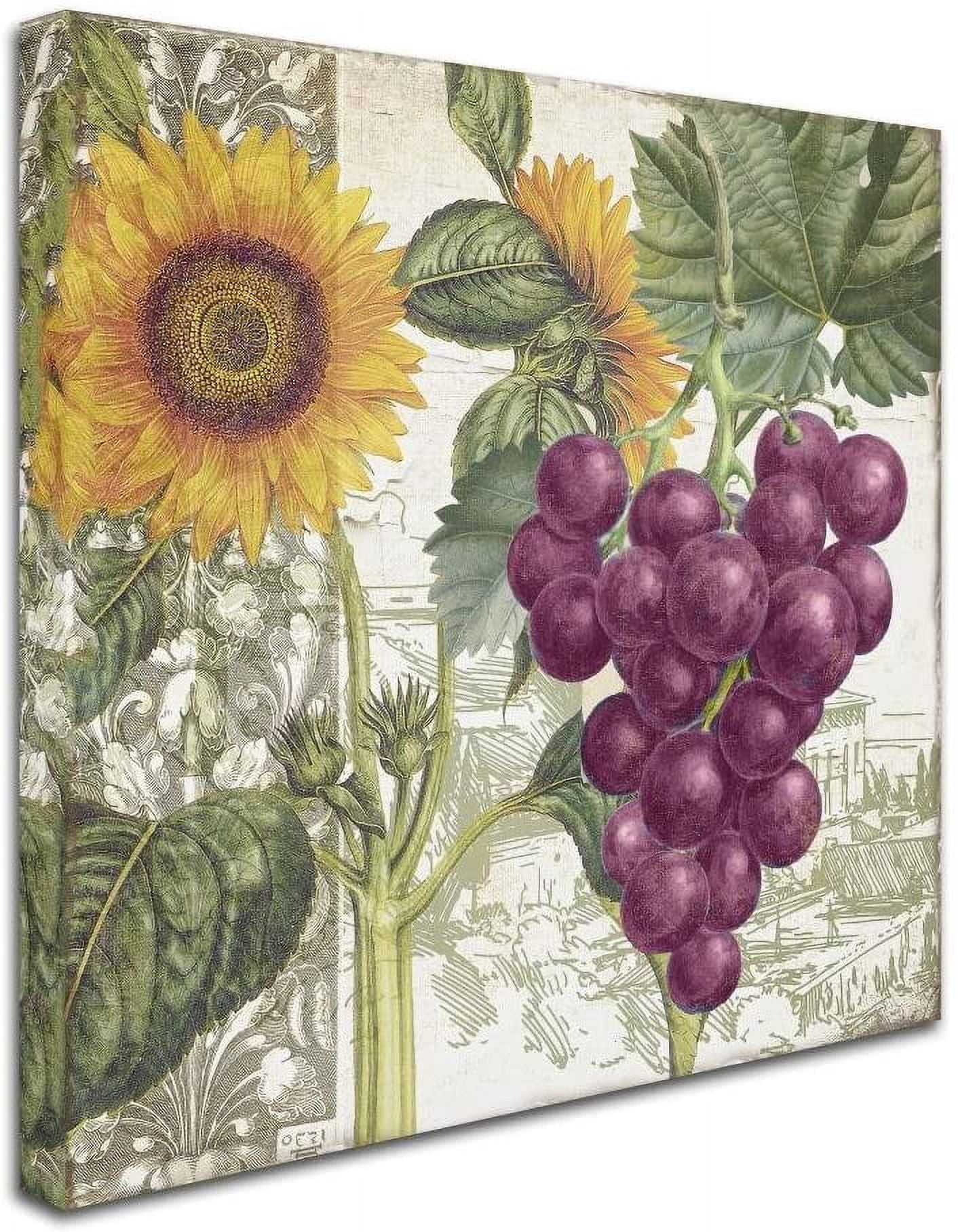 Trademark Fine Art "Dolcetto II" Canvas Art by Color Bakery