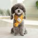 thumbnail image 5 of Bufanda para mascotas, accesorios para cachorros, ropa a juego para mascotas, suministros para mascotas, bufanda de lana para cachorros, bufanda para gatos al por mayor, 5 of 6