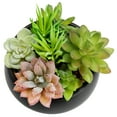 thumbnail image 5 of MyGift 5 inch Mini Black Ceramic Round Bowl with Artificial Succulents, 5 of 5