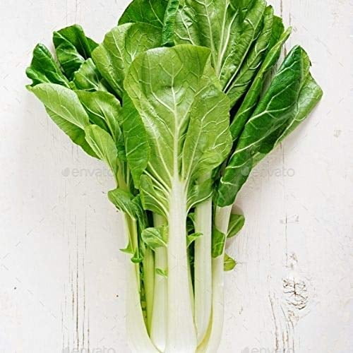 Featured image of post Recipe of Pak Choi Planting Instructions