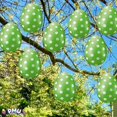 thumbnail image 3 of PMU Easter Celebrations Inflatable Easter Eggs Decorations 16 inch Lime Green - Lawn Decoration, Easter Party Accessories (3/pkg) Pkg/1, 3 of 8