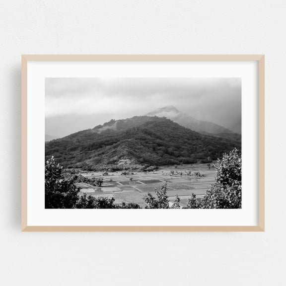Hanalei Taro Fields - Hanalei Hawaii Photography Black and White Landscape Mountain Nature Forest Scenic Foggy Oak Framed Wall Art Print 6 x 8 inches