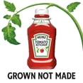 thumbnail image 6 of Heinz Tomato Ketchup, 2 ct Pack, 50.5 oz Bottles, 6 of 9