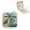 White, variant on Palm Tree Jewelry Box for Necklaces Rings Earrings Gifts White