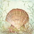thumbnail image 2 of McRostie, Kate 20x20 White Modern Wood Framed Museum Art Print Titled - Seashells and Coral III, 2 of 4