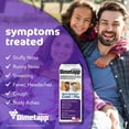 Children's Dimetapp MultiSymptom Cold and Flu, Antihistamine