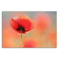 thumbnail image 3 of 27" x 18" Poppy Dream by Roeselien Raimond Wall Art Print on Canvas Fabric White, 3 of 3