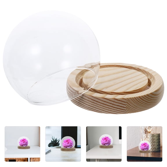 CIMAXIC Transparent Glass Cover Eternal Flower Decor for Home and Tabletop 3Pcs