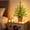 color, variant on LmnLft 24in Pre-Lit Green Cypress Artificial Christmas Tree, Warm White LED Lights Twinkling Glow, Tabletop Decor with Timer Function, Holiday Decor for Home or Office