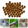 thumbnail image 4 of Xingzhi 100Pcs 2022 Aluminium Colombe Pigeon de Course Pied Anneaux 8mm Orange, 4 of 8