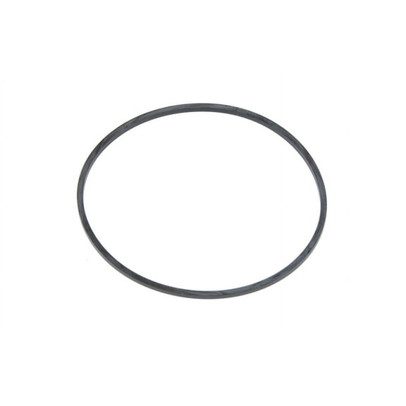 GM Genuine Parts 15521872 Front Differential Bearing Adjuster O-Ring Seal