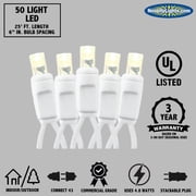 Novelty Lights 50 Light LED Twinkle Christmas LED Mini Light Set, Outdoor Fairy Wedding String Lights, Warm White, Green White, 25 Feet