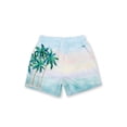 thumbnail image 2 of Mens Swim Shorts Dry Fast 4 Ways Stretch Swimming Trunks, Palm Tree Multi, Size: 2X, Vacay Land, 2 of 4
