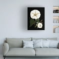 thumbnail image 3 of Trademark Fine Art giovanna nicolo Moody Morning Glories Canvas Wall Art, 3 of 4