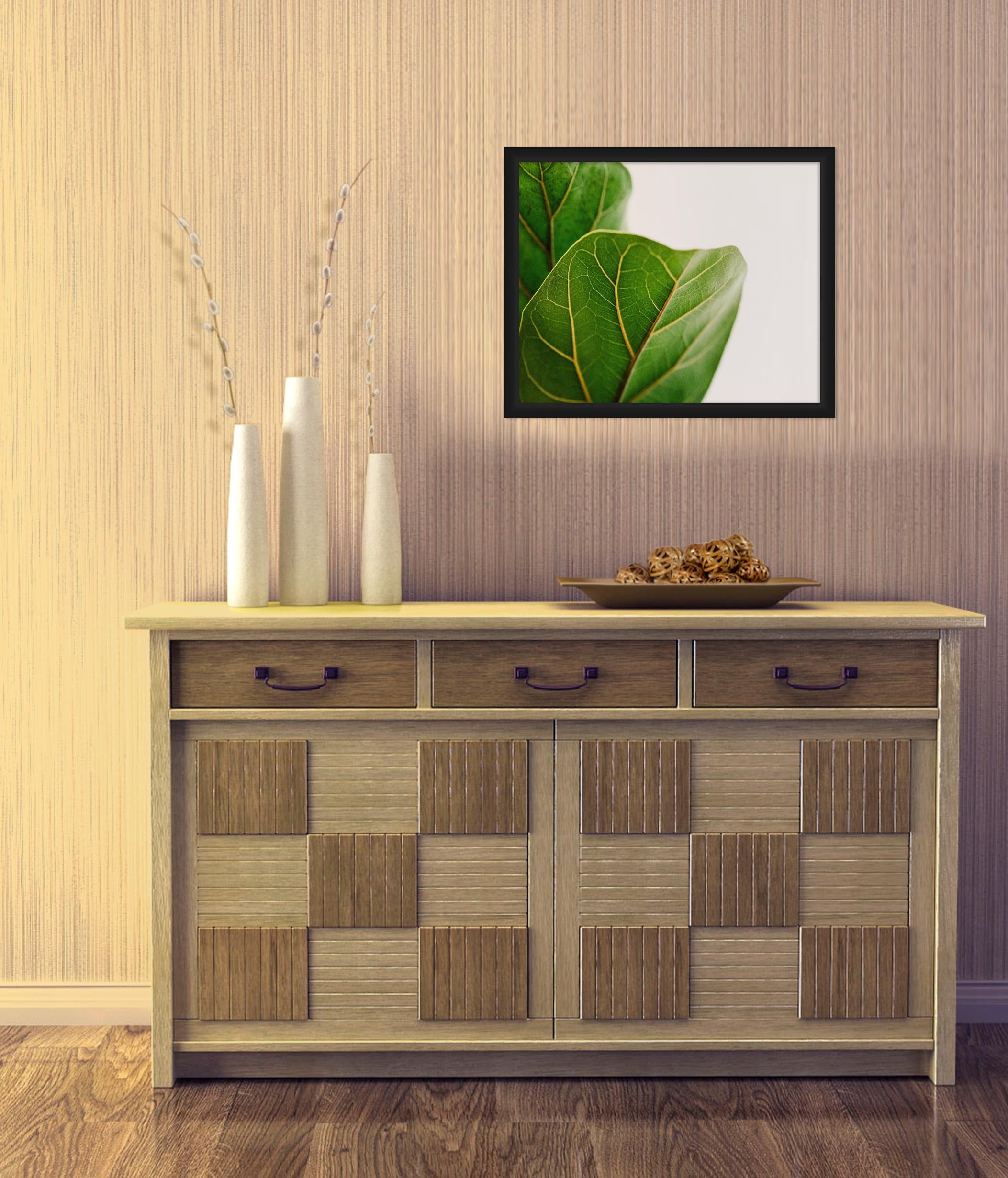 PTM Images,Leaves