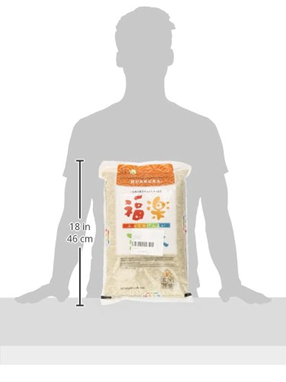 hukkura brown rice, 11-pounds (pack of 1)
