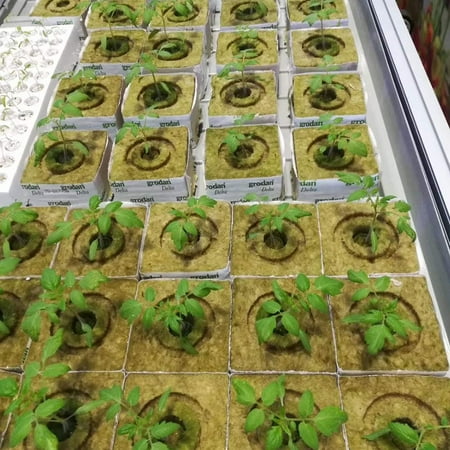 Aihome Imported Rock Wool Soilless Culture Substrate Agricultural