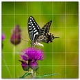 thumbnail image 1 of Picture-Tiles.com: Butterfly Ceramic Tile Wall Mural WAL500277-66L. 48"W x 48"H using (36) 8" x 8" Ceramic Tiles-Satin Finish, 1 of 3