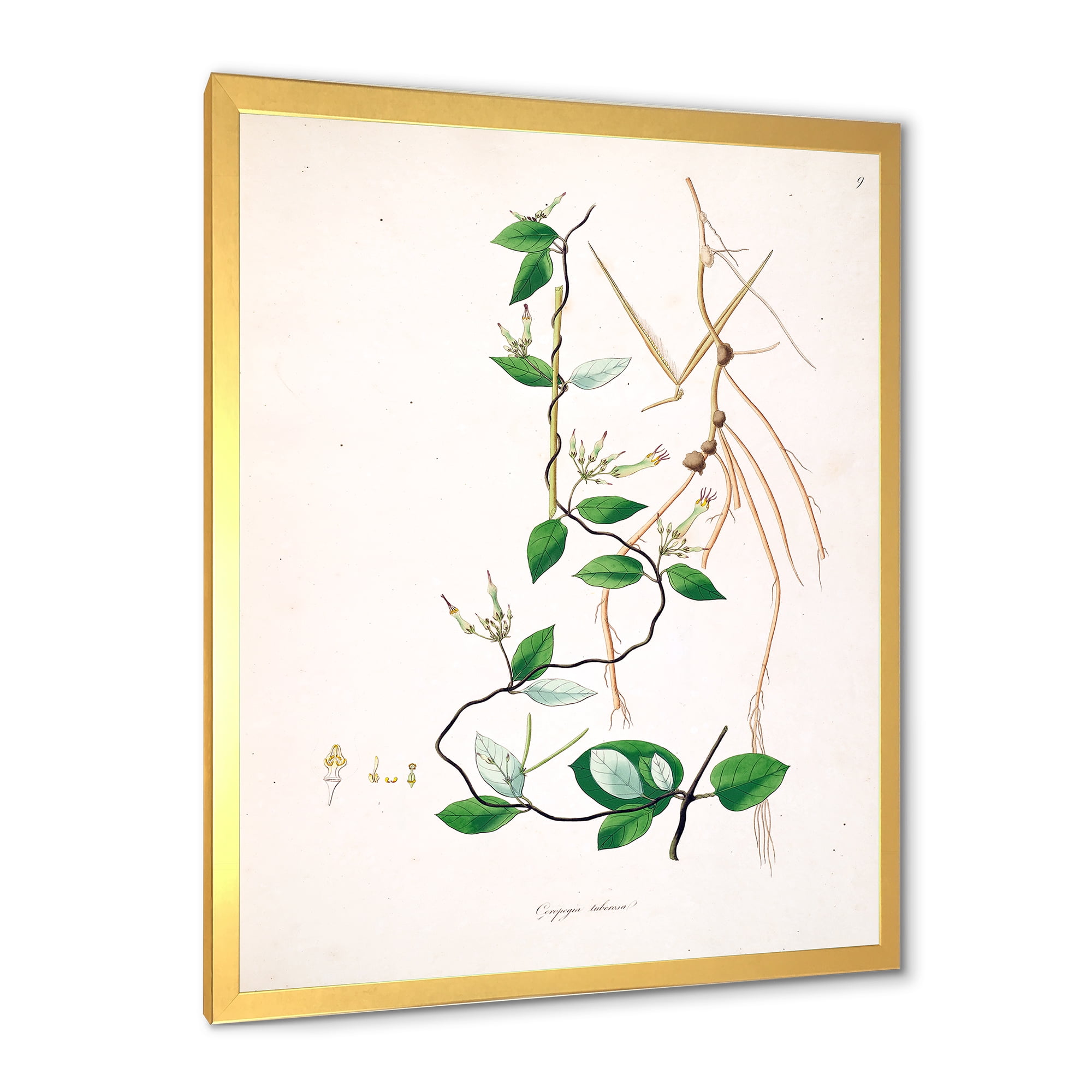 Designart 'Ancient London Plants IV' Farmhouse Framed Art Print