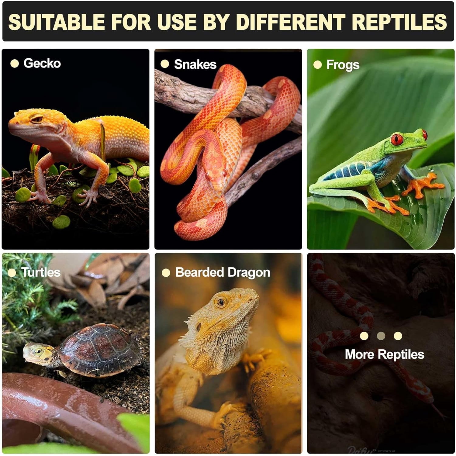 Reptile Humid Hideout with a Humidification Groove Equipped with a Temperature and Humidity Dish For Lizards,Corn Snake,Leopard Gecko