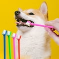 thumbnail image 2 of Kit de Soins pour Animaux Ensemble de Brosses à Dents Trois Pièces pour Hygiène Buccale et Nettoyage des Dents chez les Chats et les Chiens, 2 of 4