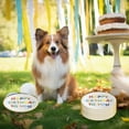thumbnail image 3 of fastboy Birthday disposable meal tray paper tray, 3 of 9