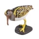 thumbnail image 2 of Figura de pájaro, juguetes educativos de aprendizaje, modelo de pájaro, decoración, mano de obra fina Estilo A, 2 of 9