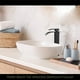 thumbnail image 5 of Advancent Grifo de baño antiobstrucciones con superficie mate de fácil control para no dejar huellas dactilares Juegos de accesorios de baño Cromado, 5 of 6