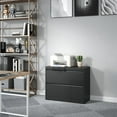 thumbnail image 2 of 2 Drawer Lateral File Cabinet, Metal Lateral Filing Cabinet for Home Office, Filing Cabinets for Letter/Legal/A4/F4 Hanging Files (Black), 2 of 12
