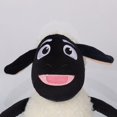 thumbnail image 4 of Amanda the Adventurer Plush Toy - 9.84 Inch Cartoon Amanda & Wooly Plushies, 4 of 5
