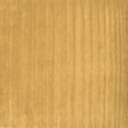 thumbnail image 1 of Ahgly Company Indoor Square Solid Brown Modern Area Rugs, 5' Square, 1 of 4
