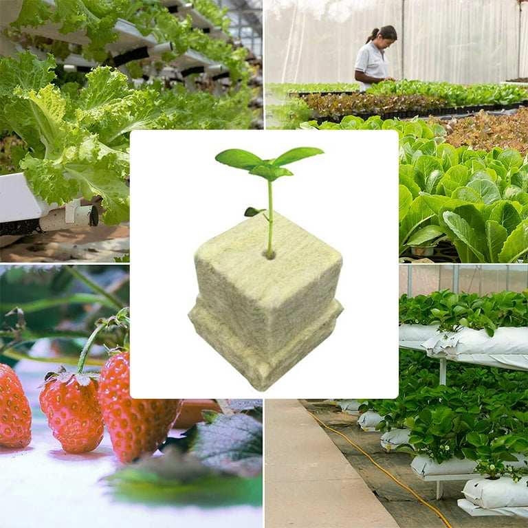 ZeeDix 6lb LECA Clay Pebbles Decorative Organic Seedling Plants Grow Media  Reusable Hydroponic Supplies 