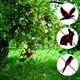 thumbnail image 4 of Red de aves, red de malla de jardín de 13x39 pies para protección de plantas, árboles frutales y ciervos, negra, paquete de 6, 4 of 6
