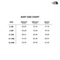 thumbnail image 3 of Traje de nieve The North Face Freedom Infants Acoustic Blue 3M, 3 of 3