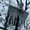 A, variant on 1Pc Clearance Under $7 Hanging Ghost Glow Eye Hanging Ghost Plastic For Ceiling Hanging Glow Eye Ghost Eye-Glowing Hanging Skeleton (D)