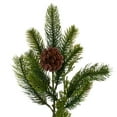 thumbnail image 2 of 6 x 12" Holiday Pine with Cones, 2 of 2