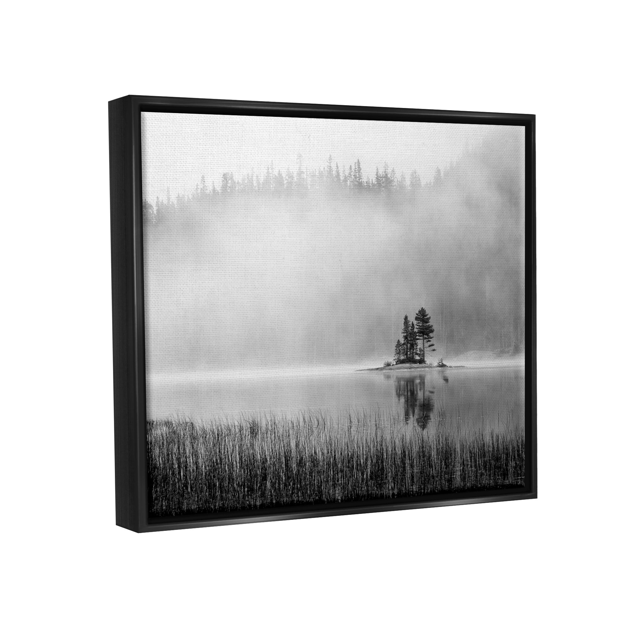 Stupell Foggy Lake Landscape Trees Landscape Photography Black Floater Framed Art Print Wall Art