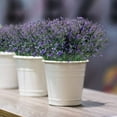 thumbnail image 6 of ZOELNIC Artificial Lavender Outdoor Plants 16Pcs UV Resistant Fake Flowers Purple Faux Lavender Plastic Greenery Stems Decor for Home Garden Front Porch Planters Decoration, 6 of 12