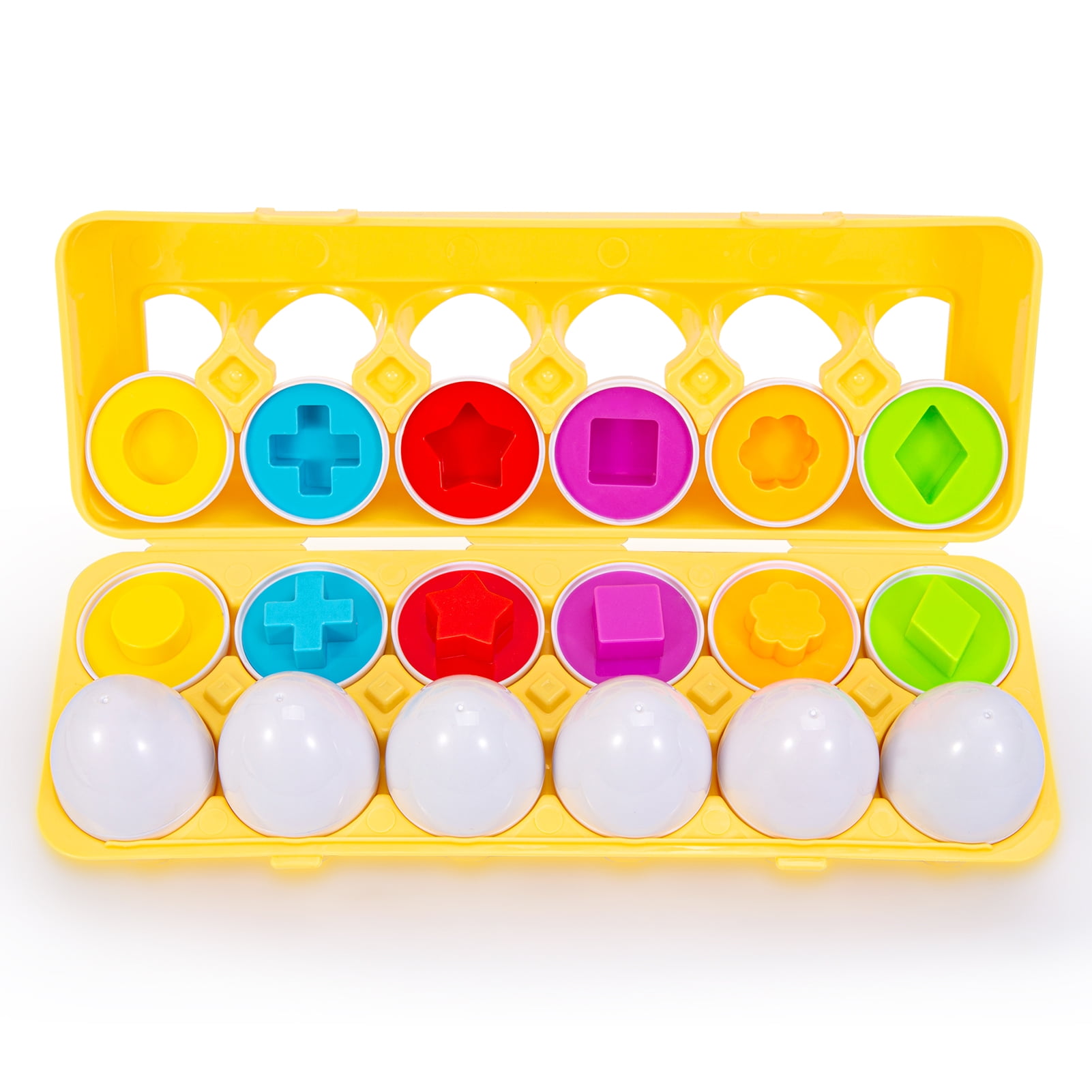 12 Pack Different Hatching Eggs