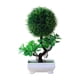 thumbnail image 4 of Jardinera Artificial Decorativa para Sala de Estar, Regalo para Exteriores, 4 of 9